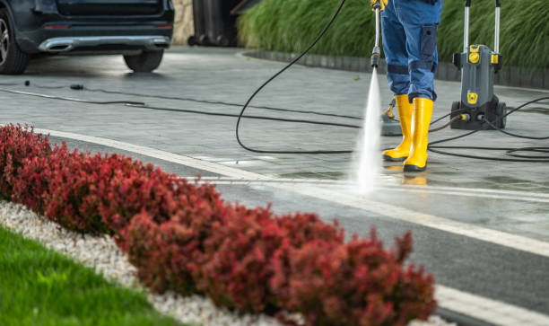 Best Driveway Pressure Washing  in Essex Fells, NJ